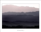 dailyPhoto3